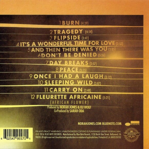 norah jones day breaks digi pak cd - pop jazz r&b piano vocals burn - Picture 2 of 2
